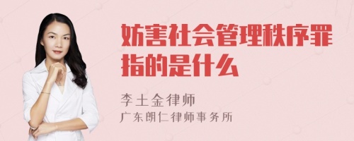 妨害社会管理秩序罪指的是什么