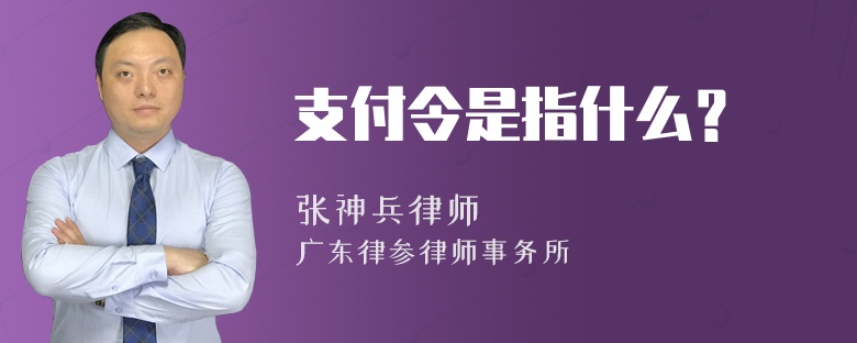 支付令是指什么？