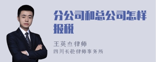 分公司和总公司怎样报税