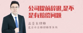 公司提前辞退,是不是有赔偿问题