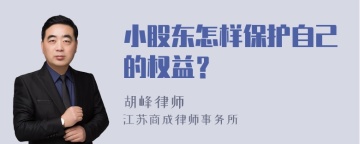 小股东怎样保护自己的权益？