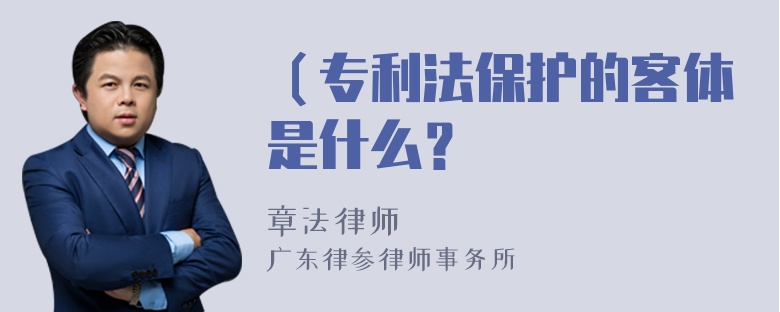 （专利法保护的客体是什么？