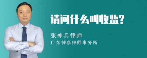 请问什么叫收监?