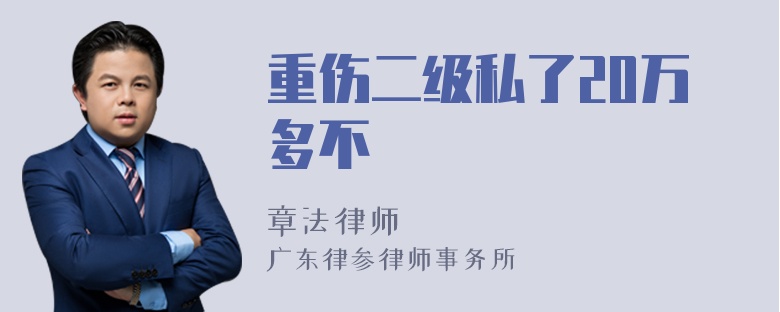 重伤二级私了20万多不