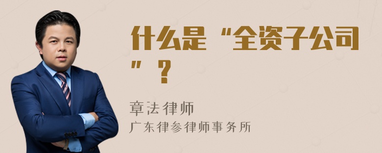 什么是“全资子公司”？