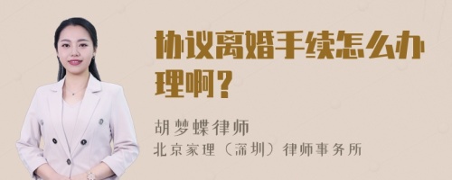 协议离婚手续怎么办理啊？