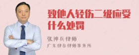 致他人轻伤二级应受什么处罚