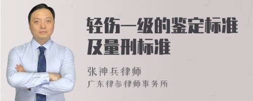 轻伤一级的鉴定标准及量刑标准