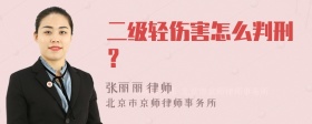 二级轻伤害怎么判刑？