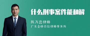 什么刑事案件能和解