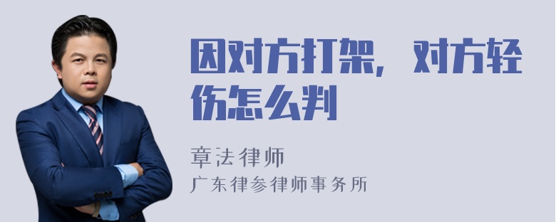 因对方打架，对方轻伤怎么判