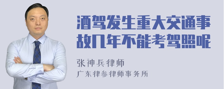 酒驾发生重大交通事故几年不能考驾照呢