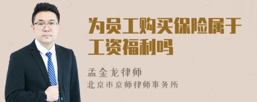 为员工购买保险属于工资福利吗