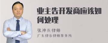 业主告开发商应该如何处理