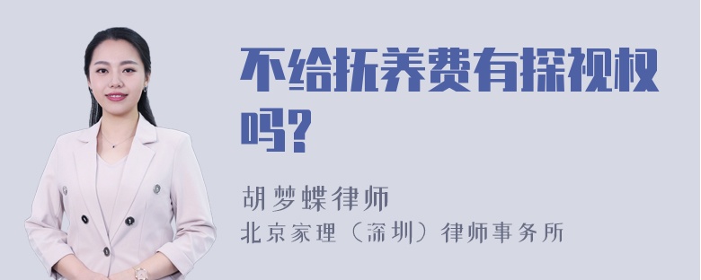 不给抚养费有探视权吗?