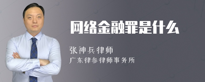 网络金融罪是什么