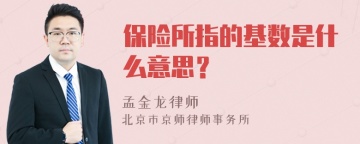 保险所指的基数是什么意思？