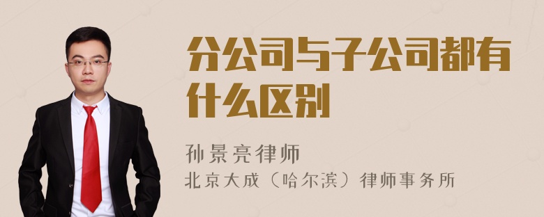 分公司与子公司都有什么区别