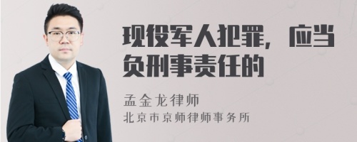 现役军人犯罪，应当负刑事责任的