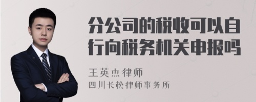 分公司的税收可以自行向税务机关申报吗