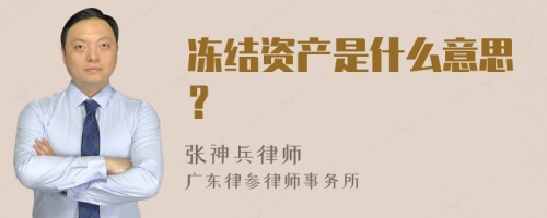 冻结资产是什么意思？