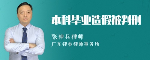 本科毕业造假被判刑