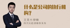 什么是公司的执行机构？