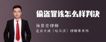 偷盗罪该怎么样判决