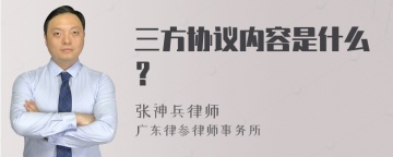 三方协议内容是什么？