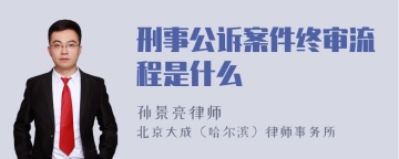 刑事公诉案件终审流程是什么