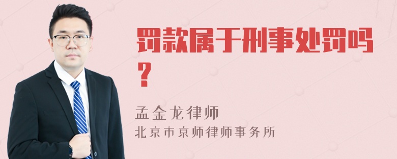 罚款属于刑事处罚吗？