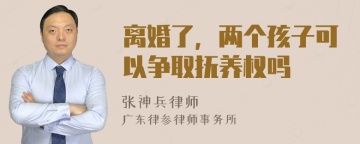 离婚了，两个孩子可以争取抚养权吗