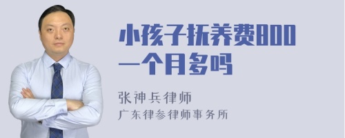 小孩子抚养费800一个月多吗