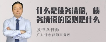 什么是债务清偿，债务清偿的原则是什么