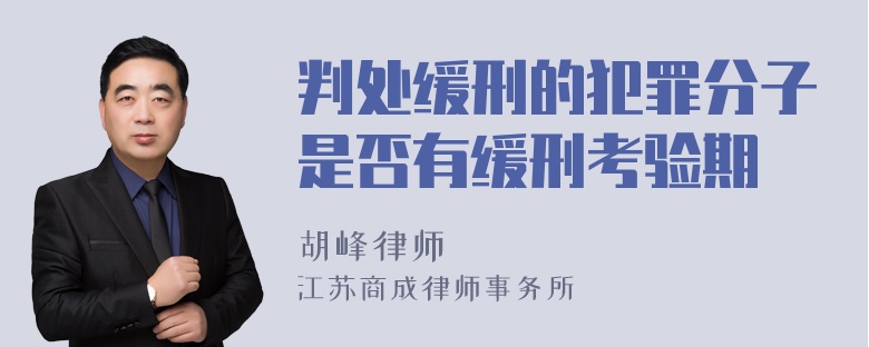 判处缓刑的犯罪分子是否有缓刑考验期