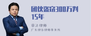 团伙盗窃300万判15年