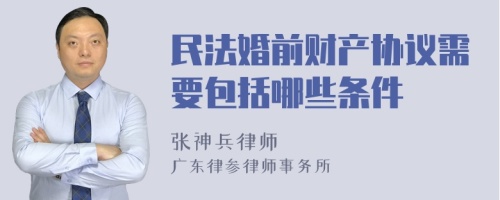 民法婚前财产协议需要包括哪些条件