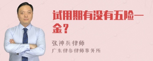 试用期有没有五险一金？