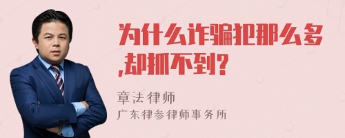 为什么诈骗犯那么多,却抓不到?