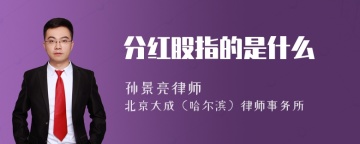 分红股指的是什么