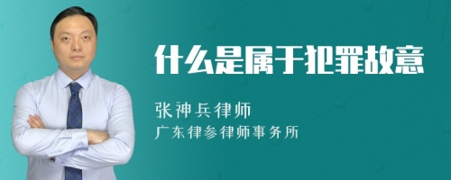 什么是属于犯罪故意