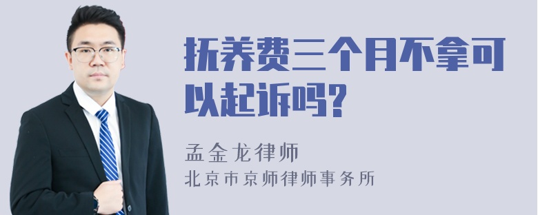 抚养费三个月不拿可以起诉吗?