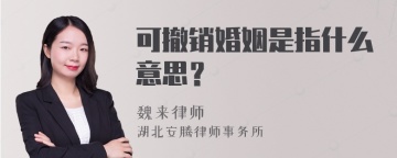 可撤销婚姻是指什么意思？