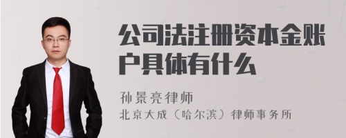 公司法注册资本金账户具体有什么