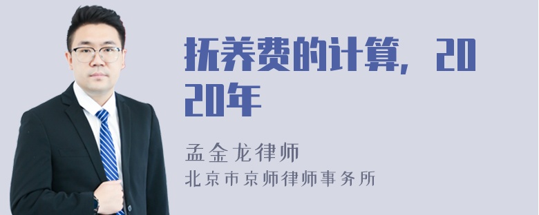 抚养费的计算，2020年