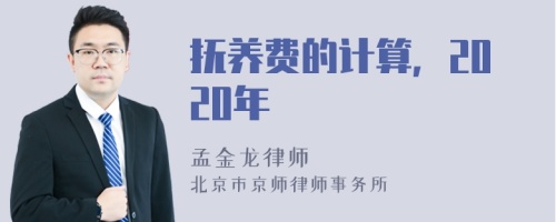 抚养费的计算，2020年