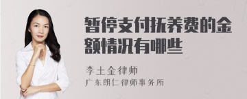 暂停支付抚养费的金额情况有哪些