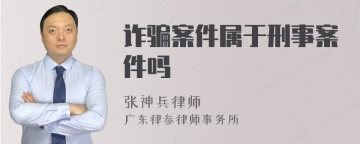 诈骗案件属于刑事案件吗