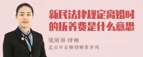 新民法律规定离婚时的抚养费是什么意思