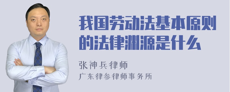 我国劳动法基本原则的法律渊源是什么